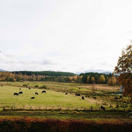 The Dell Of Abernethy - A Woodland Hideaway Apartman Nethy Bridge Kültér fotó