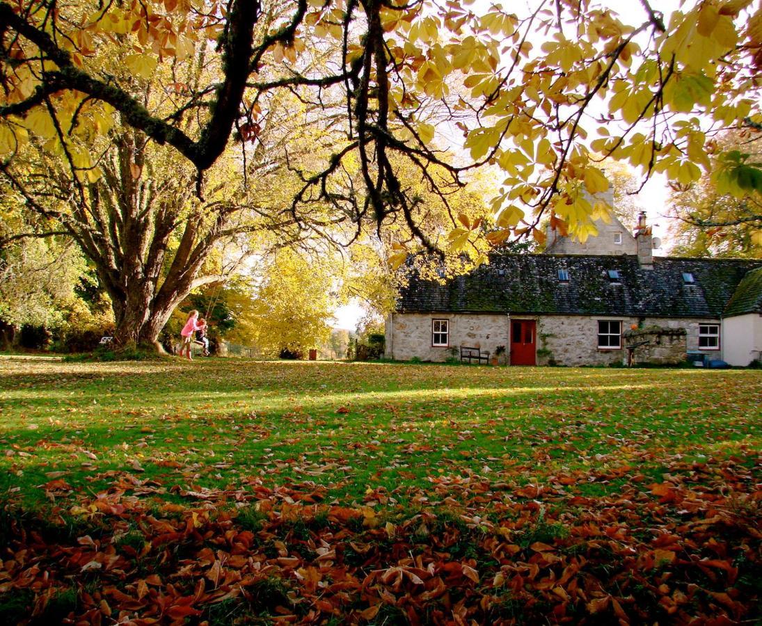 The Dell Of Abernethy - A Woodland Hideaway Apartman Nethy Bridge Kültér fotó