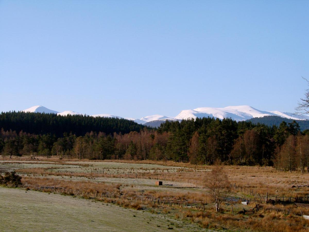 The Dell Of Abernethy - A Woodland Hideaway Apartman Nethy Bridge Kültér fotó